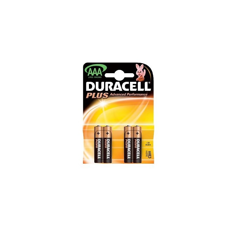 Piles LR03 AAA*2 DURACELL